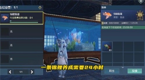 妄想山海錦鯉魚苗在哪釣 錦鯉魚苗位置分享